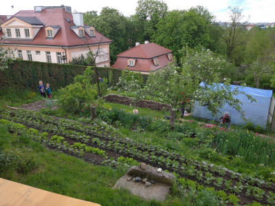 Komunitní zahrada Kuchyňka #0