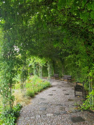 Akademická zahrada a Tematické zahrady-Labyrint přírody a ráj zahrad Zahradnické fakulty Mendelovy univerzity #2