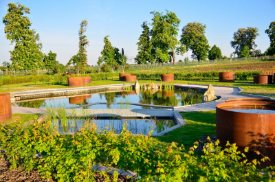 Akademická zahrada a Tematické zahrady-Labyrint přírody a ráj zahrad Zahradnické fakulty Mendelovy univerzity #7