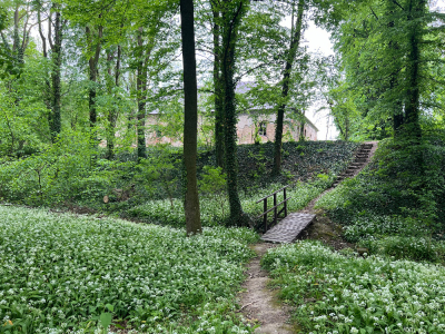 Zámecký park a bylinková zahrada zámek Bravantice #3