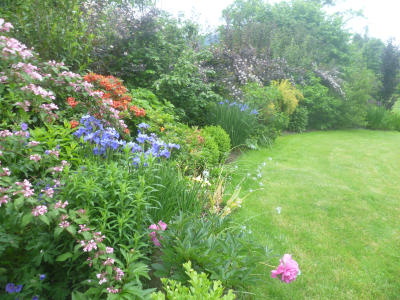 GardenEden - okrasná zahrada v idylické krajině Pošumaví #0