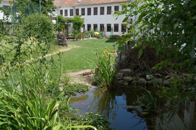 Ukázková školní přírodní zahrada při ZŠ a MŠ Myslibořice #2