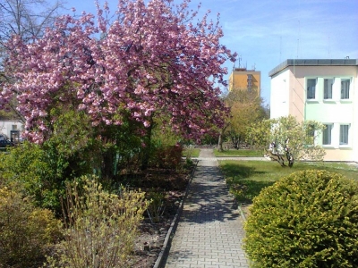 Přírodní školní zahrada MŠ vady řeči ZŠ a MŠ pro zrakově postižené a vady řeči, Plzeň, Lazaretní #4