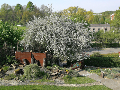 Interaktivní zahrada u Domu přírody Poodří v Bartošovicích #2