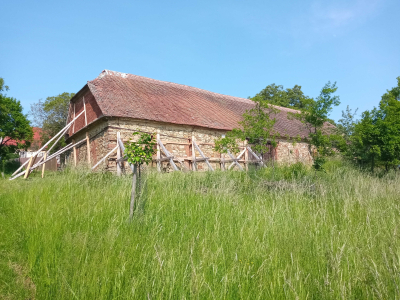 Farní zahrada s historickou farní stodolou #4