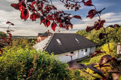 Malá přírodní permakulturní zahrada na okraji velkoměsta #0
