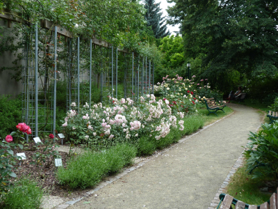 Botanická zahrada Petra Albrechta Prostějov #2