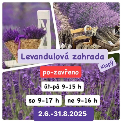 Levandulová zahrada Anette #5
