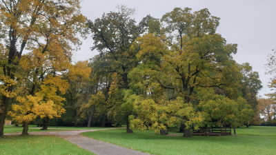 Zámecký park Paskov #1